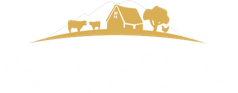 Casa Rural Curico | [:es]Mostramos la cultura de una familia de campo a turistas de Curico y el mundo.[:pb]