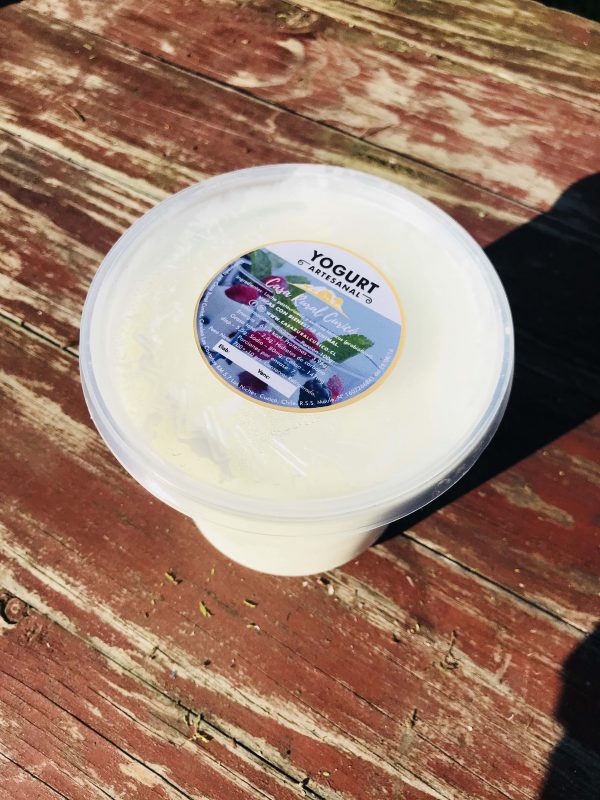 [:es]Yogurt Artesanal [:] - Imagen 2
