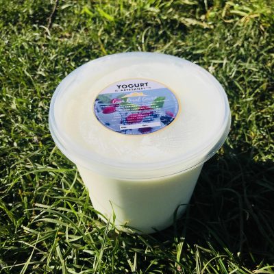 [:es]Yogurt Artesanal [:]