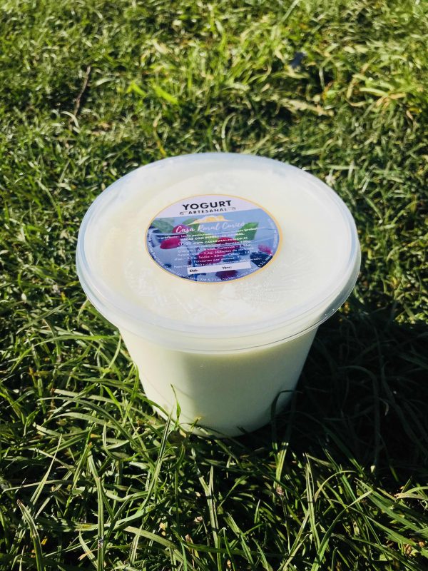 [:es]Yogurt Artesanal [:]