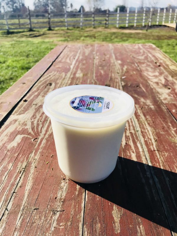 [:es]Yogurt Artesanal [:] - Imagen 3