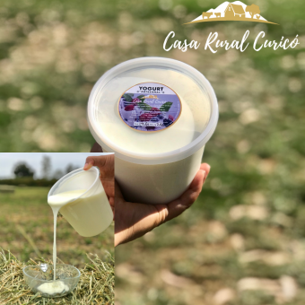 ¿Sabías que las personas con intolerancia a la lactosa pueden consumir yogurt natural?